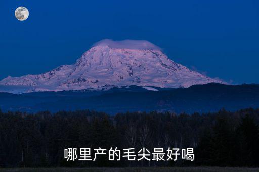 信陽羅山哪里產毛尖,哪里產的毛尖最好喝