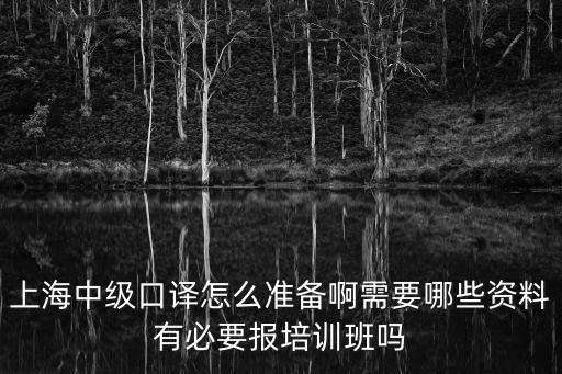 上海中級口譯，上海中級口譯怎么準備啊需要哪些資料有必要報培訓班嗎