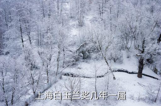 上海白玉蘭，白玉蘭在上海什么時候開從先后來看它是 開花 發葉