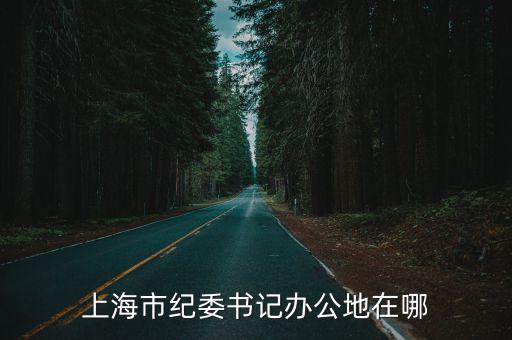 上海市紀委書記辦公地在哪