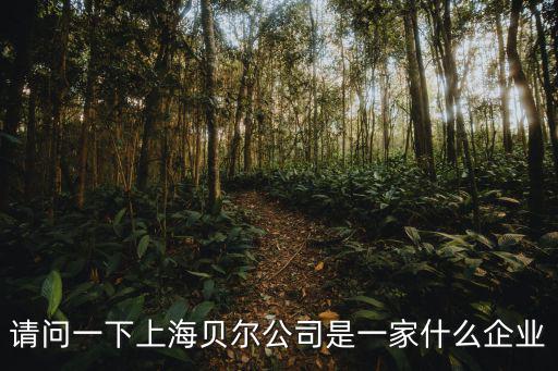 上海貝爾，請問一下上海貝爾公司是一家什么企業