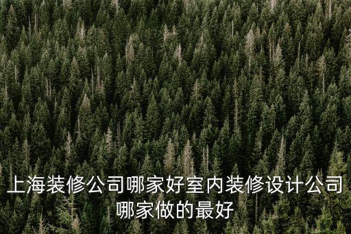上海裝修公司哪家好室內裝修設計公司哪家做的最好