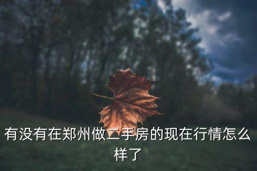 有沒有在鄭州做二手房的現在行情怎么樣了