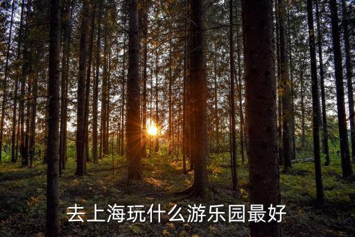 上海游樂(lè)園，去上海玩什么游樂(lè)園最好