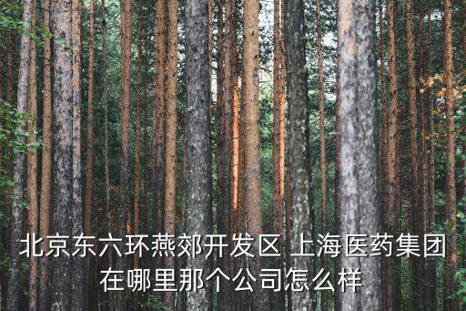 上海醫(yī)藥集團(tuán)股份有限公司，上海醫(yī)藥集團(tuán)有限公司40股權(quán)司法委托拍賣項(xiàng)目司法拍賣要停牌嗎
