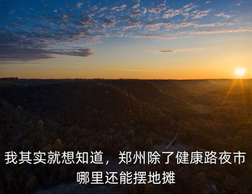 我其實(shí)就想知道，鄭州除了健康路夜市哪里還能擺地?cái)? class=