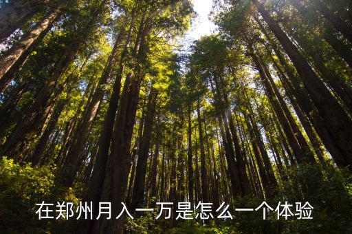 在鄭州月入一萬是怎么一個(gè)體驗(yàn)