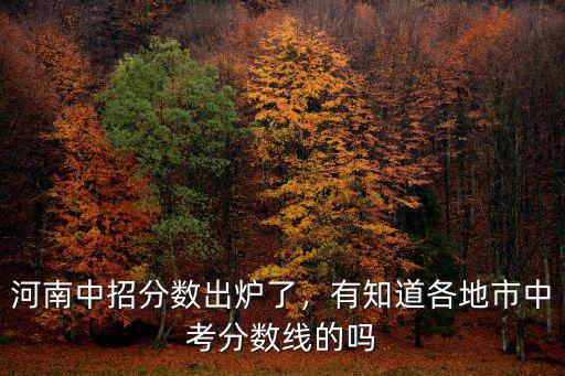河南中招分?jǐn)?shù)出爐了，有知道各地市中考分?jǐn)?shù)線的嗎