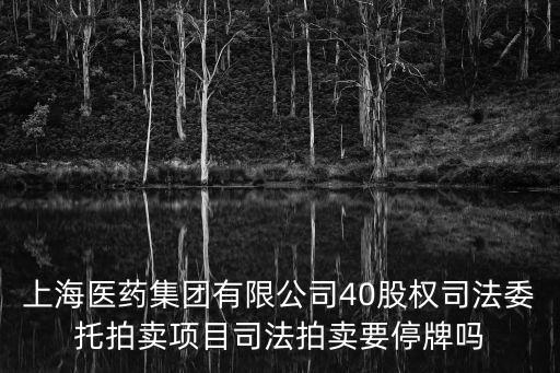 上海醫(yī)藥集團(tuán)有限公司40股權(quán)司法委托拍賣項(xiàng)目司法拍賣要停牌嗎