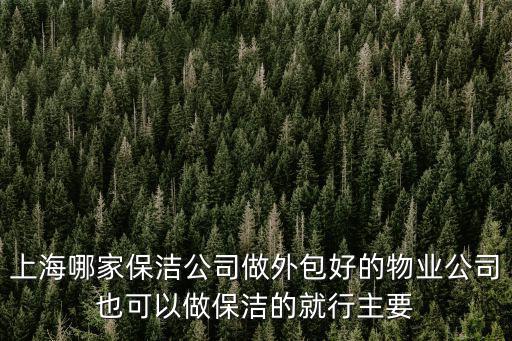上海哪家保潔公司做外包好的物業公司也可以做保潔的就行主要