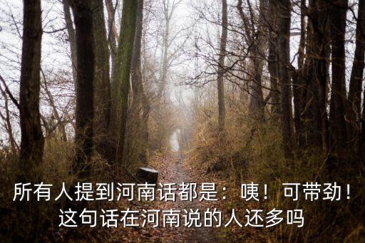 所有人提到河南話都是：咦！可帶勁！這句話在河南說的人還多嗎