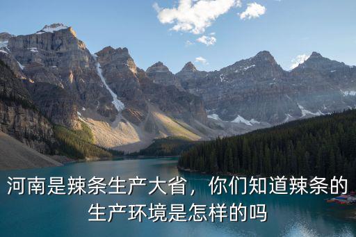 河南哪里辣條機(jī)好,河南是辣條生產(chǎn)大省