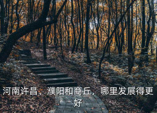 河南許昌、濮陽和商丘，哪里發(fā)展得更好