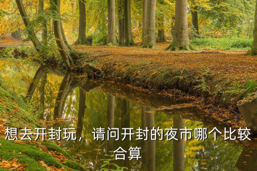 想去開(kāi)封玩，請(qǐng)問(wèn)開(kāi)封的夜市哪個(gè)比較合算