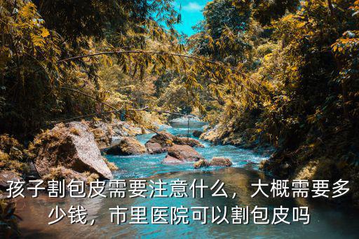 孩子割包皮需要注意什么，大概需要多少錢，市里醫院可以割包皮嗎