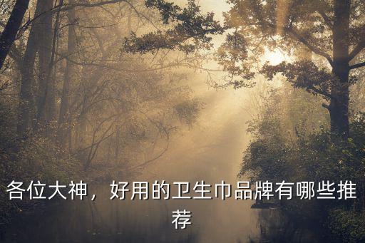 各位大神，好用的衛生巾品牌有哪些推薦