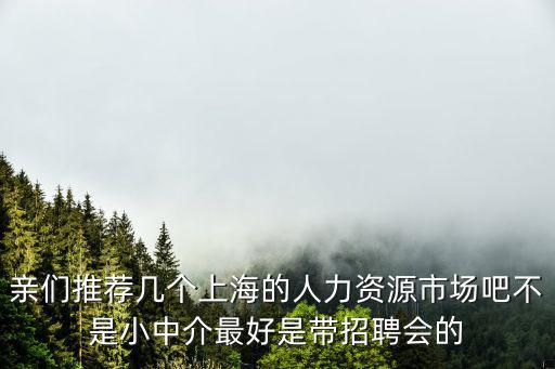 上海人力資源，上海市大一點的人力資源市場有哪些