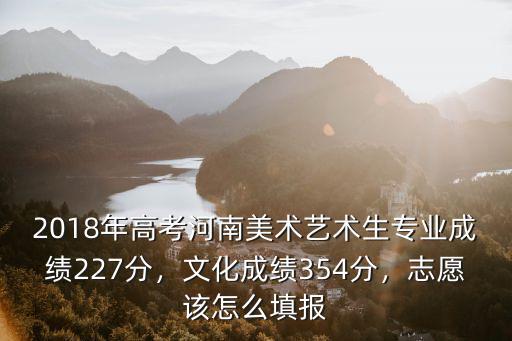 2018年高考河南美術藝術生專業成績227分，文化成績354分，志愿該怎么填報