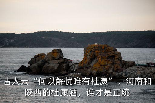 古人云“何以解憂唯有杜康”，河南和陜西的杜康酒，誰才是正統