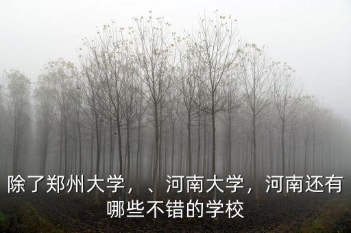 除了鄭州大學，、河南大學，河南還有哪些不錯的學校