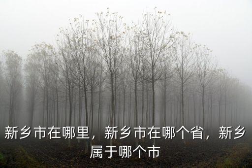 新鄉市在哪里，新鄉市在哪個省，新鄉屬于哪個市