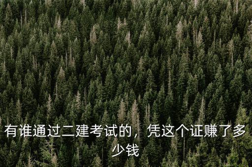 有誰通過二建考試的，憑這個證賺了多少錢