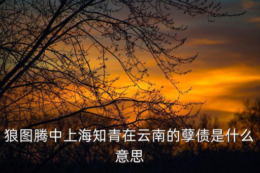 狼圖騰中上海知青在云南的孽債是什么意思