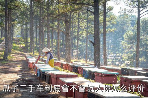 瓜子二手車到底會不會坑人你怎么評價