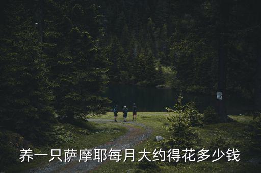 鄭州薩摩耶狗狗多少錢,純種薩摩耶多少錢