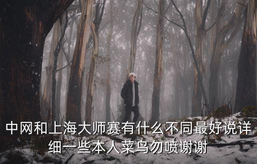 中網(wǎng)和上海大師賽有什么不同最好說詳細(xì)一些本人菜鳥勿噴謝謝