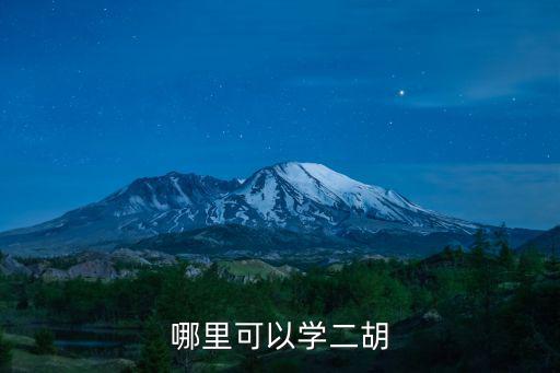 漯河二胡哪里學最好,二胡好不好學