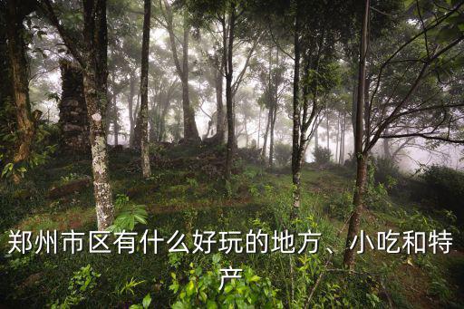 鄭州市區(qū)有什么好玩的地方、小吃和特產(chǎn)