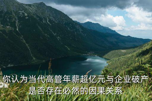 你認(rèn)為當(dāng)代高管年薪超億元與企業(yè)破產(chǎn)是否存在必然的因果關(guān)系