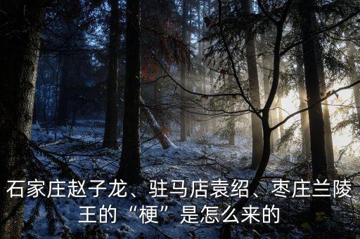 石家莊趙子龍、駐馬店袁紹、棗莊蘭陵王的“梗”是怎么來的