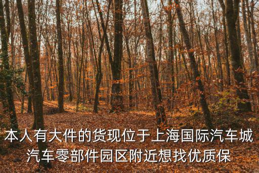 本人有大件的貨現位于上海國際汽車城汽車零部件園區附近想找優質保