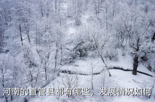河南的直管縣都有哪些，發展情況如何