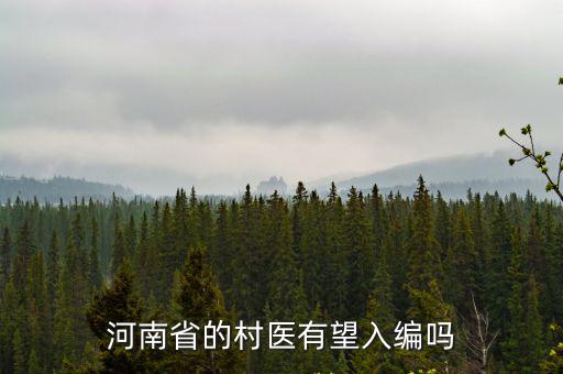 河南省的村醫(yī)有望入編嗎