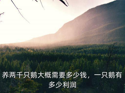 養(yǎng)兩千只鵝大概需要多少錢，一只鵝有多少利潤
