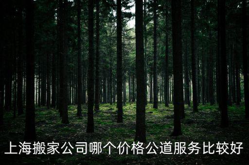 上海公興搬家，上海搬家公司哪個價格公道服務比較好