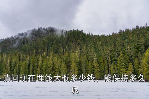 請問現(xiàn)在埋線大概多少錢，能保持多久呢