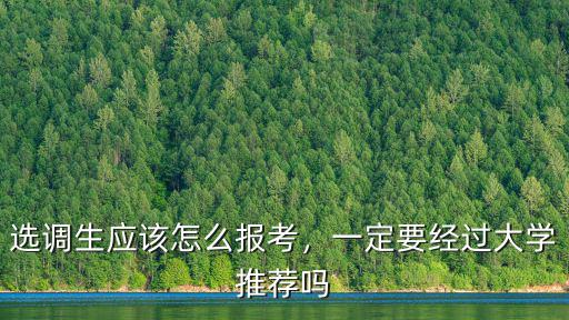河南大學(xué)生選調(diào)生怎么,選調(diào)生應(yīng)該怎么報(bào)考