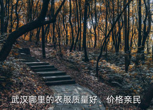 武漢哪里的衣服質(zhì)量好、價格親民