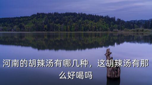 河南的胡辣湯有哪幾種，這胡辣湯有那么好喝嗎