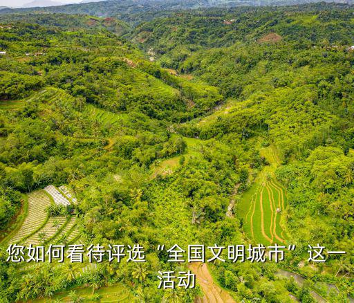 您如何看待評選“全國文明城市”這一活動