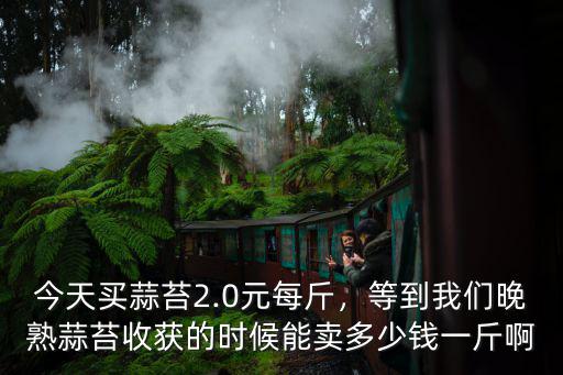 今天買蒜苔2.0元每斤，等到我們晚熟蒜苔收獲的時候能賣多少錢一斤啊