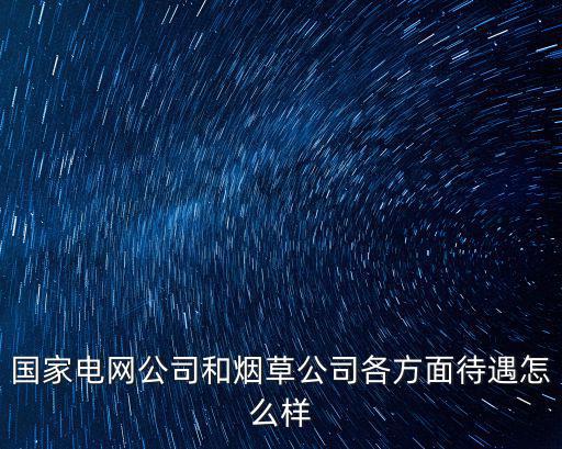 國家電網公司和煙草公司各方面待遇怎么樣