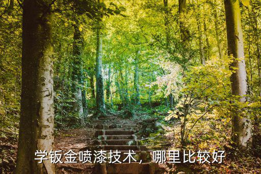 漯河鈑金噴漆哪里快,學(xué)鈑金噴漆技術(shù)