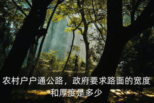 農村戶戶通公路，政府要求路面的寬度和厚度是多少