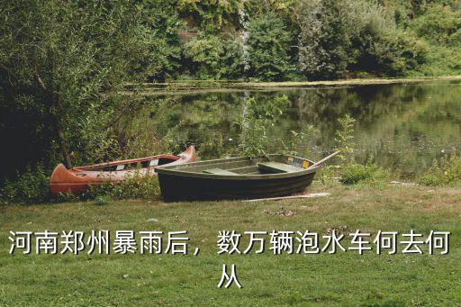 鄭州泡水車40萬(wàn)輛怎么統(tǒng)計(jì)的,數(shù)萬(wàn)輛泡水車何去何從