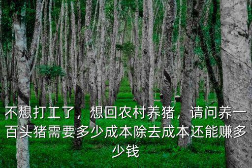 不想打工了，想回農(nóng)村養(yǎng)豬，請(qǐng)問養(yǎng)一百頭豬需要多少成本除去成本還能賺多少錢